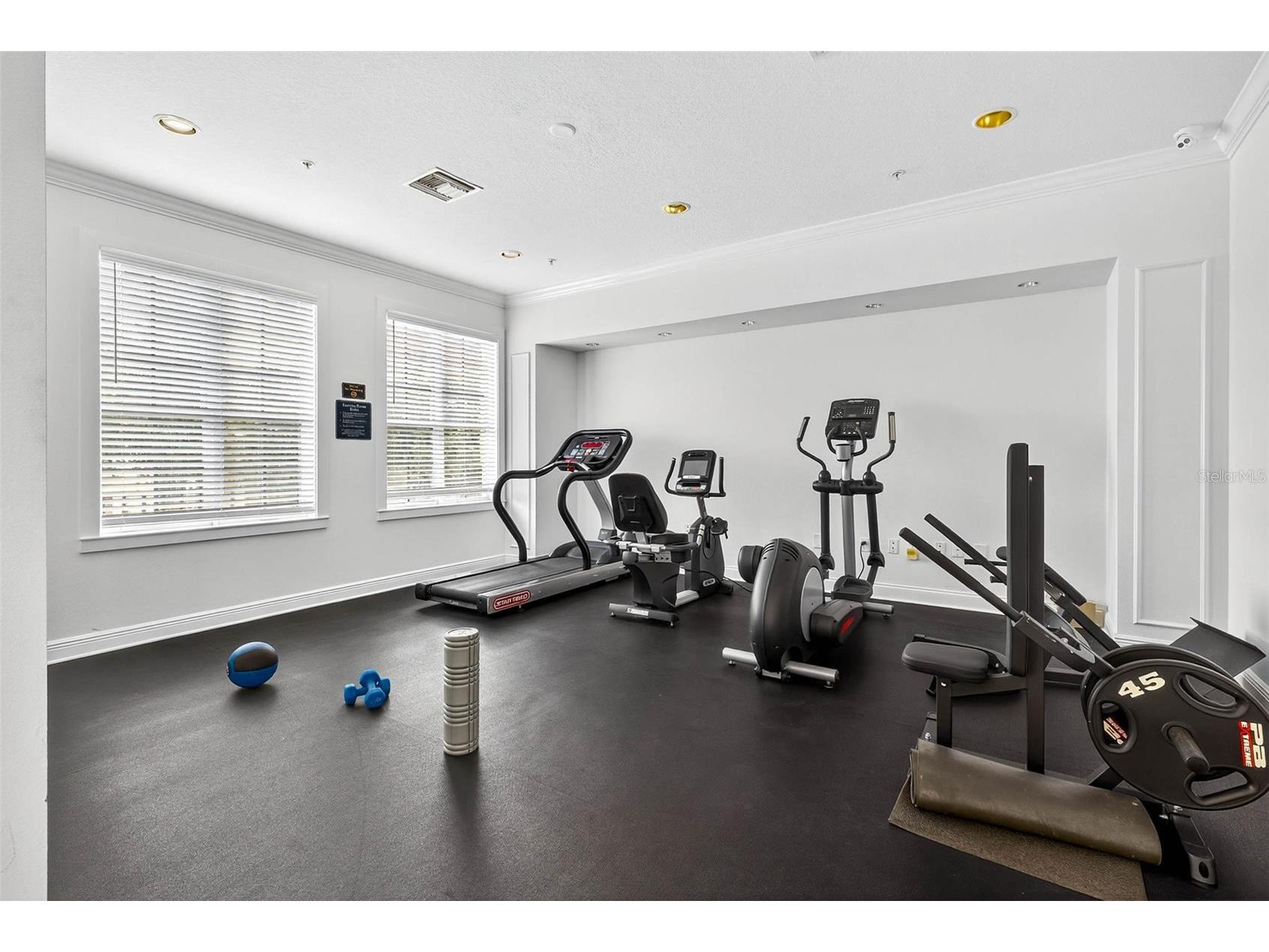 5214 Hampton Beach Place Tampa FL 33609 TB8421028 image37