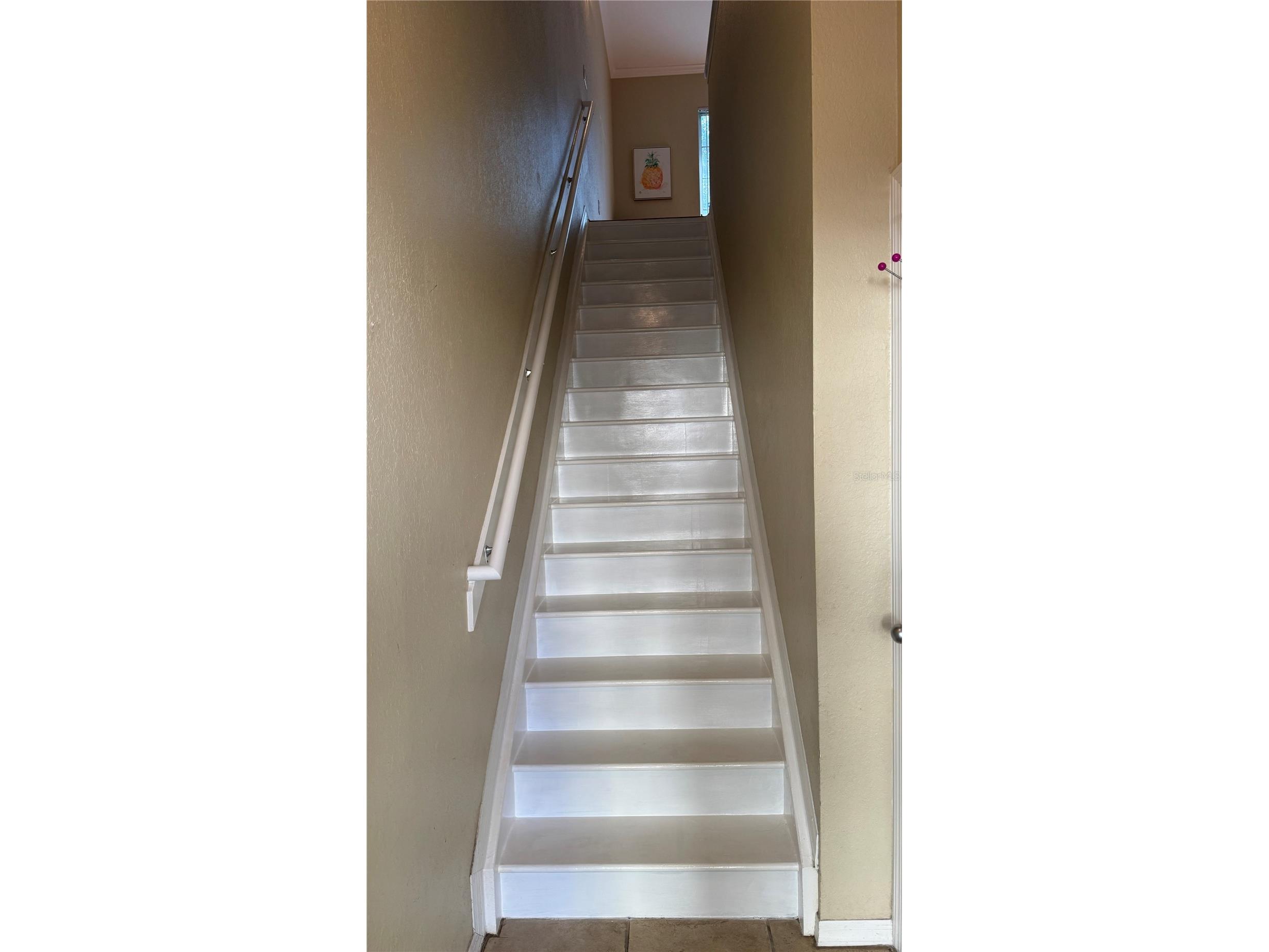5214 Hampton Beach Place Tampa FL 33609 TB8421028 image4