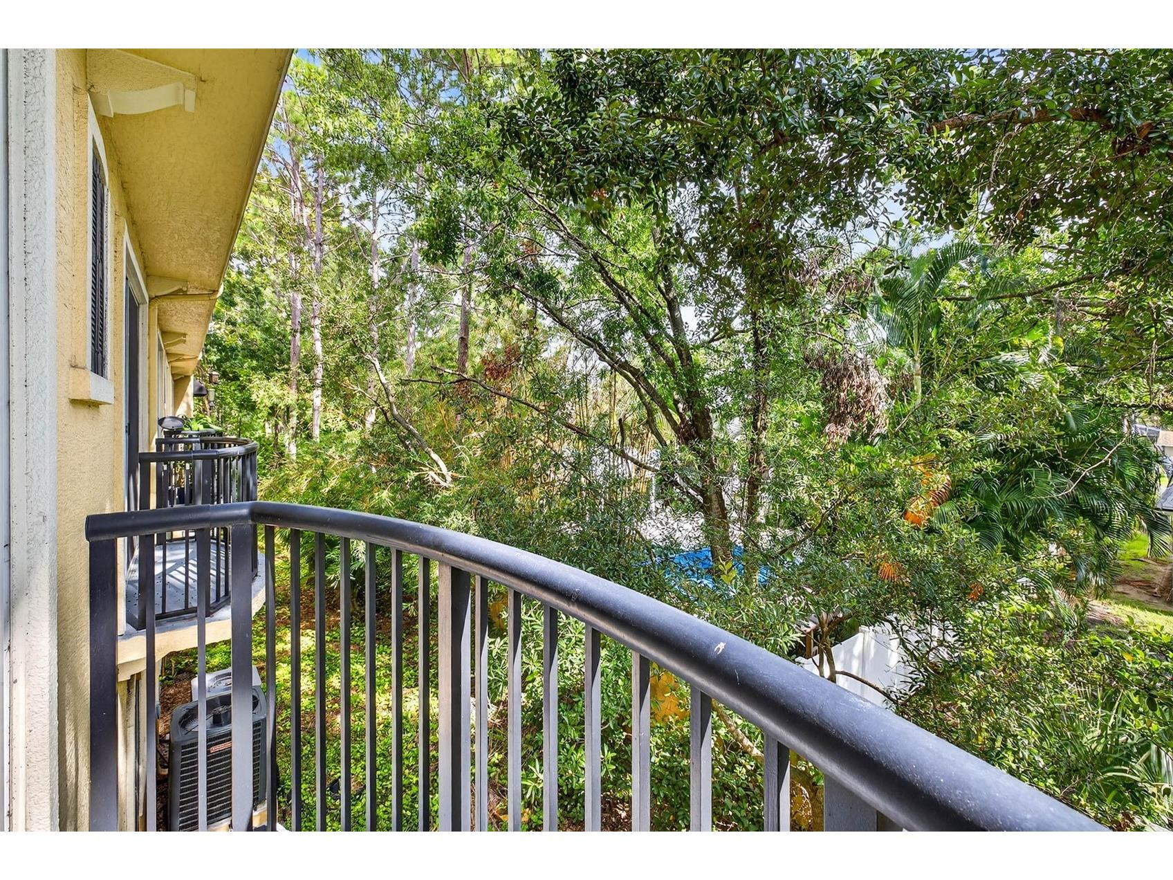5214 Hampton Beach Place Tampa FL 33609 TB8421028 image9