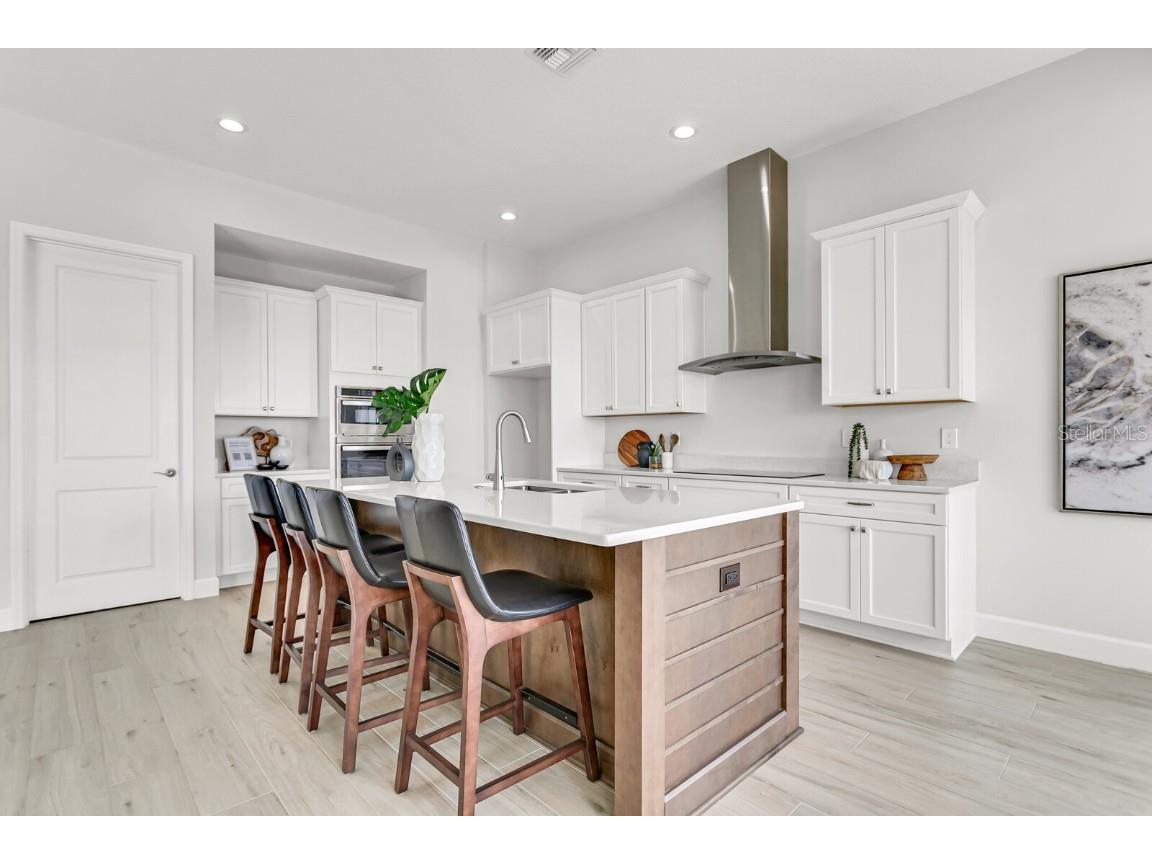 5214 Lake Venice Drive Wimauma FL 33598 TB8369364 image15