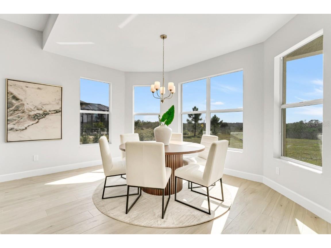 5214 Lake Venice Drive Wimauma FL 33598 TB8369364 image17