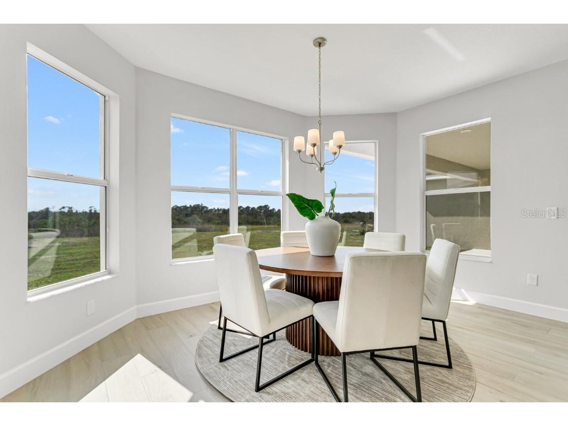 5214 Lake Venice Drive Wimauma FL 33598 TB8369364 image18