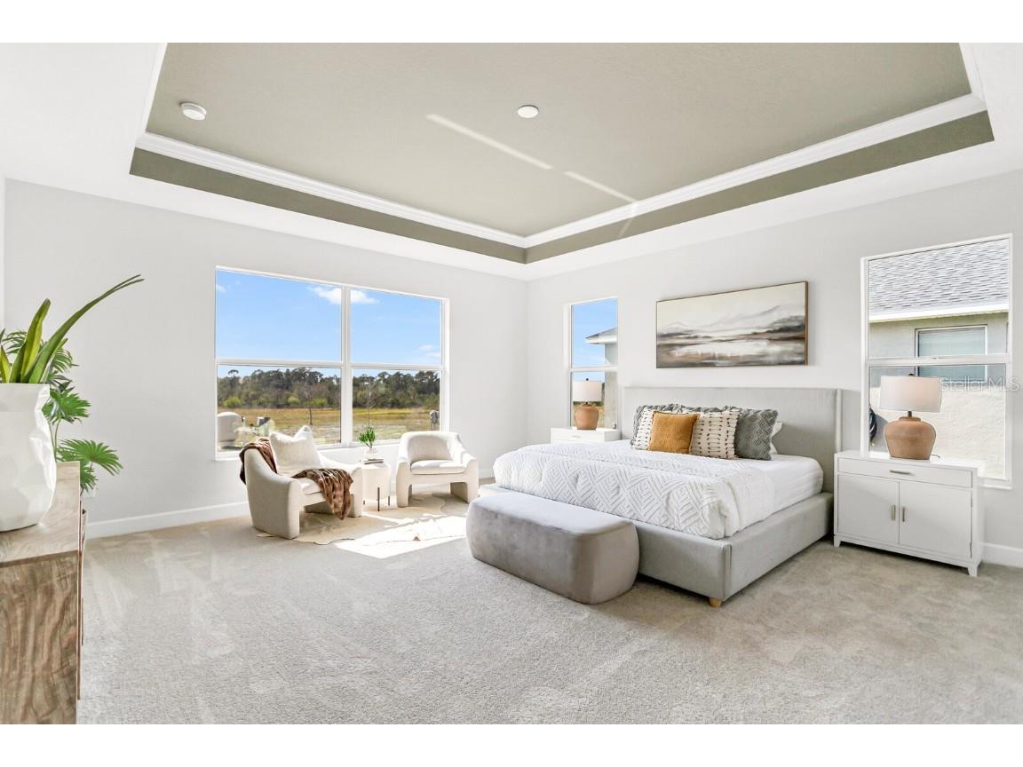 5214 Lake Venice Drive Wimauma FL 33598 TB8369364 image20