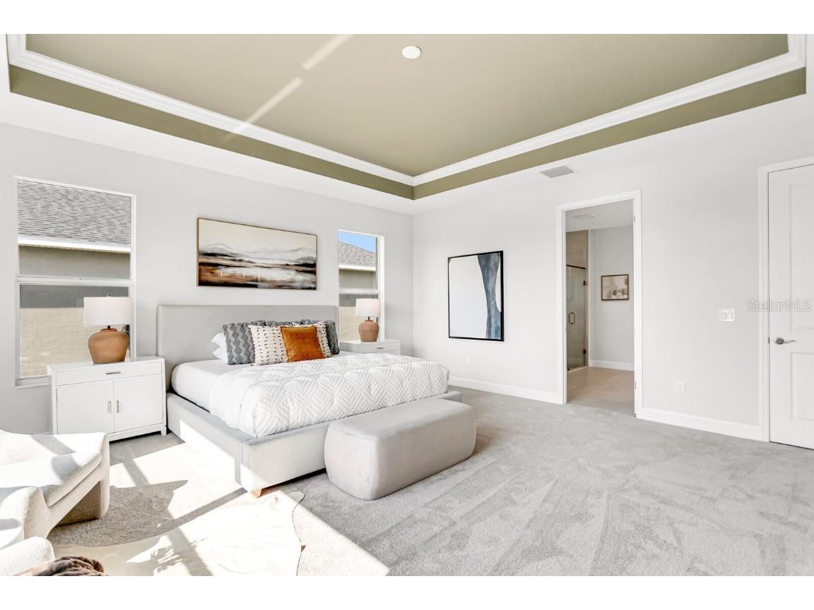 5214 Lake Venice Drive Wimauma FL 33598 TB8369364 image21