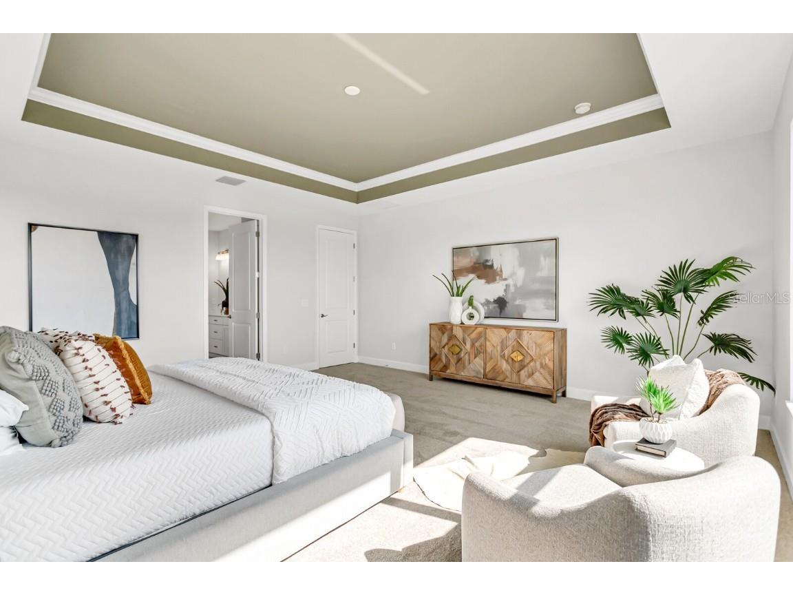 5214 Lake Venice Drive Wimauma FL 33598 TB8369364 image22