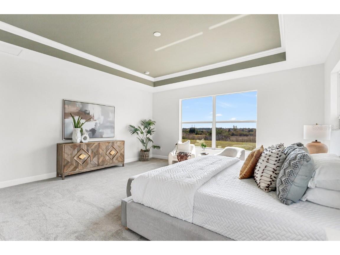 5214 Lake Venice Drive Wimauma FL 33598 TB8369364 image23