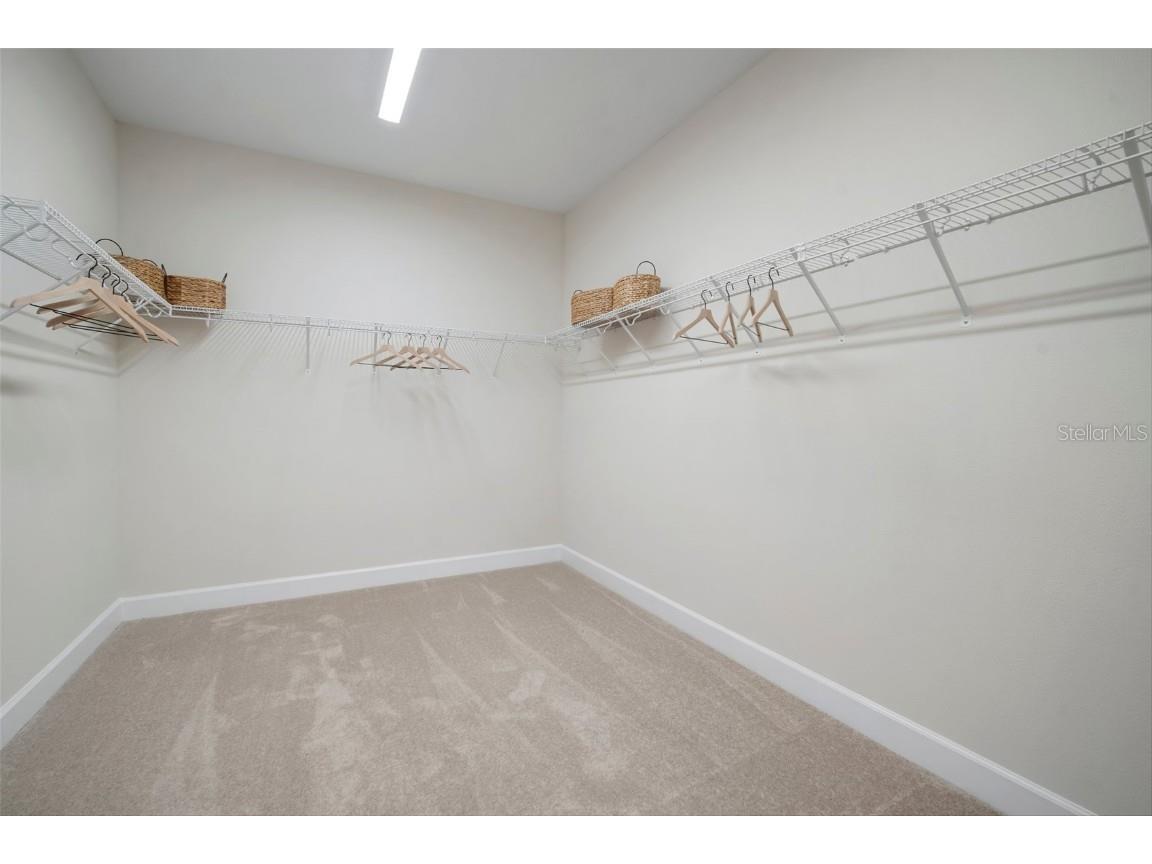 5214 Lake Venice Drive Wimauma FL 33598 TB8369364 image28