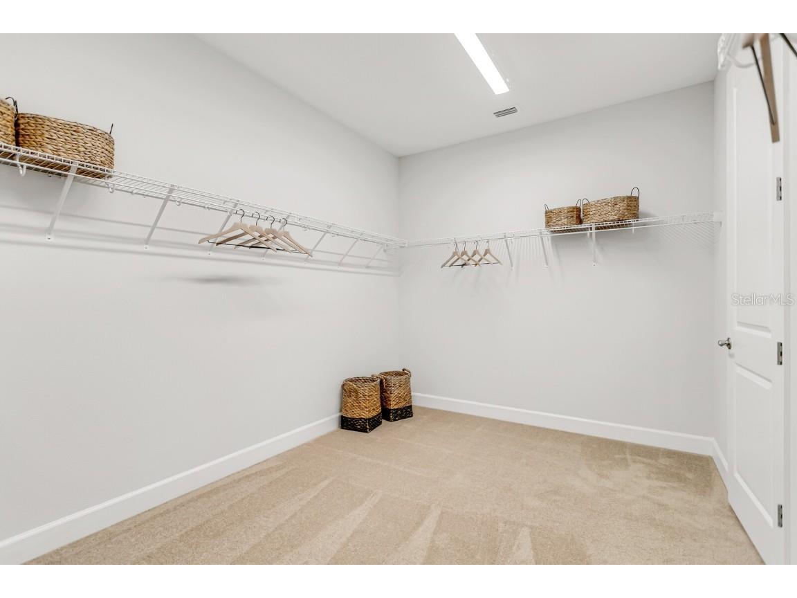 5214 Lake Venice Drive Wimauma FL 33598 TB8369364 image29