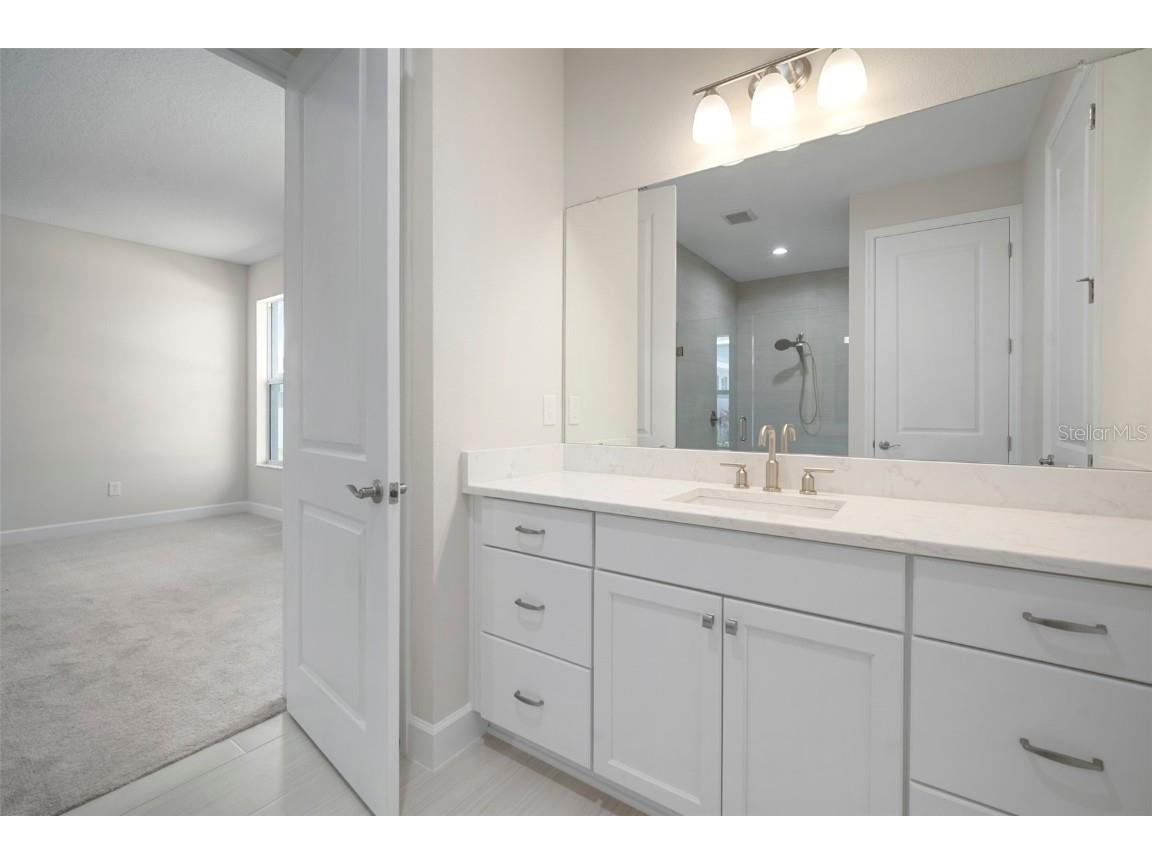 5214 Lake Venice Drive Wimauma FL 33598 TB8369364 image34