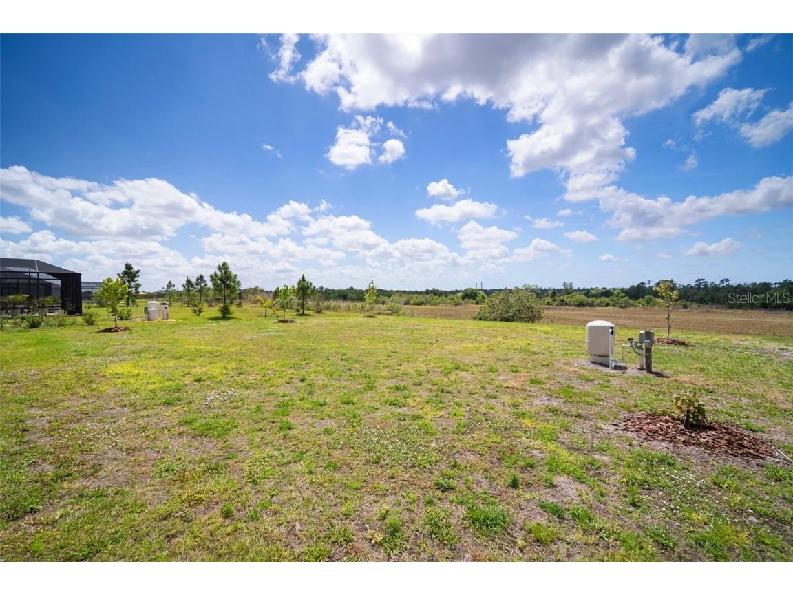 5214 Lake Venice Drive Wimauma FL 33598 TB8369364 image45