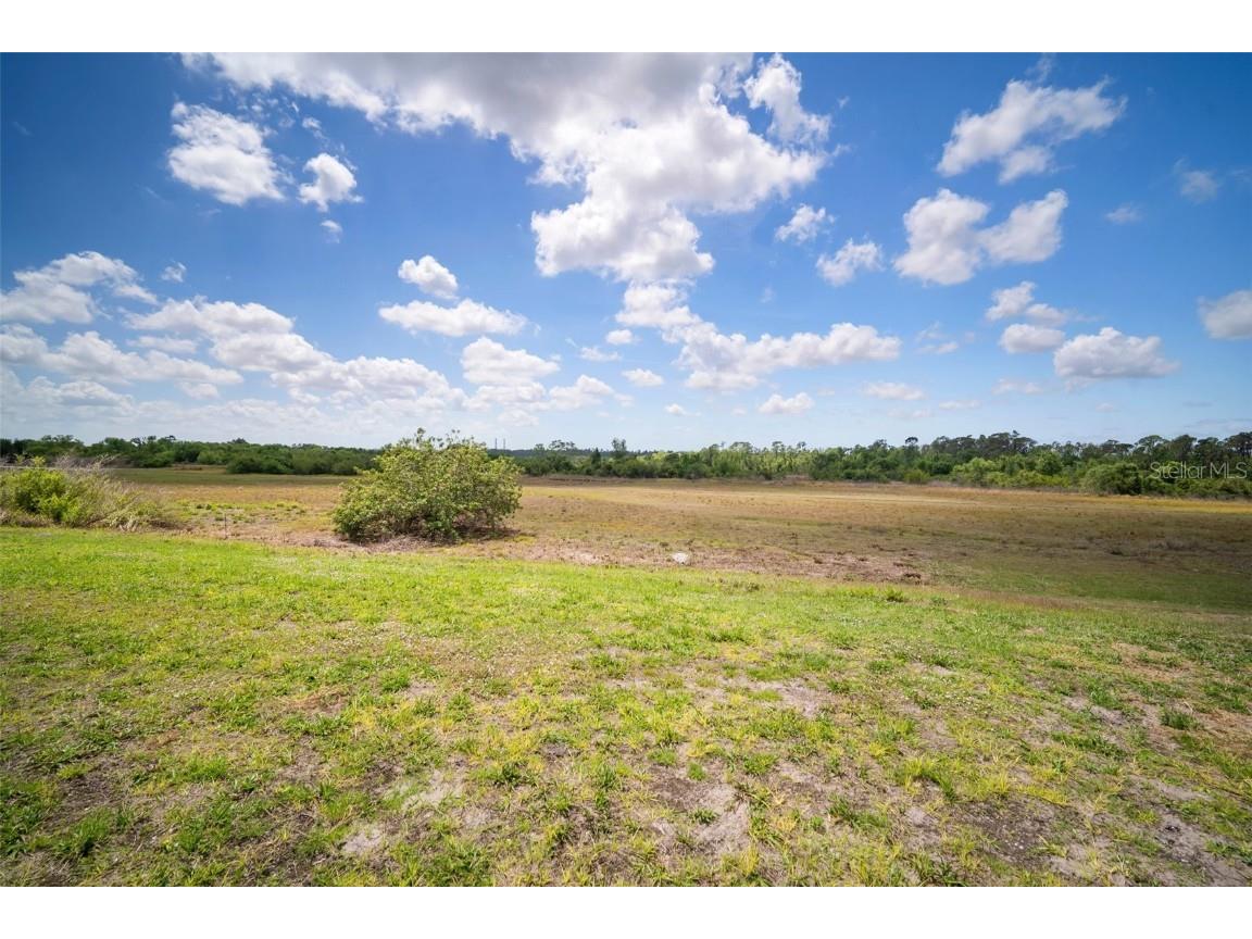 5214 Lake Venice Drive Wimauma FL 33598 TB8369364 image46