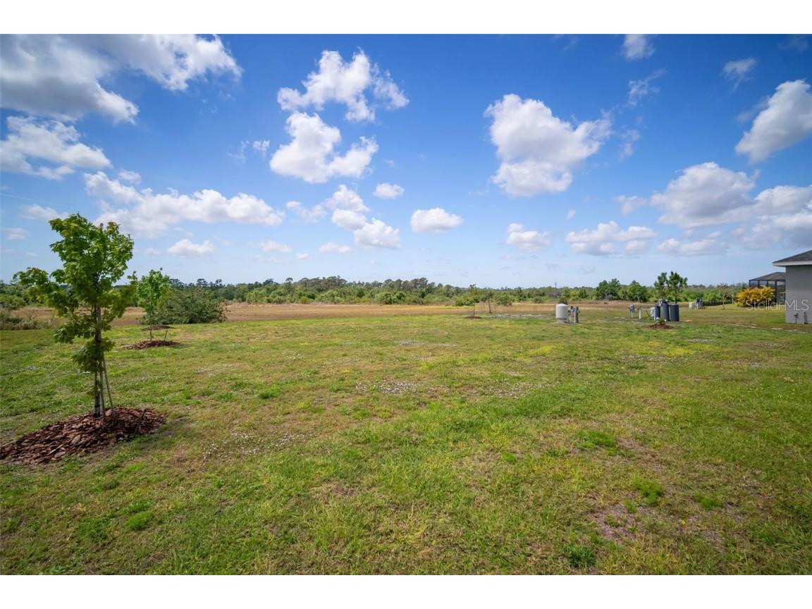 5214 Lake Venice Drive Wimauma FL 33598 TB8369364 image49