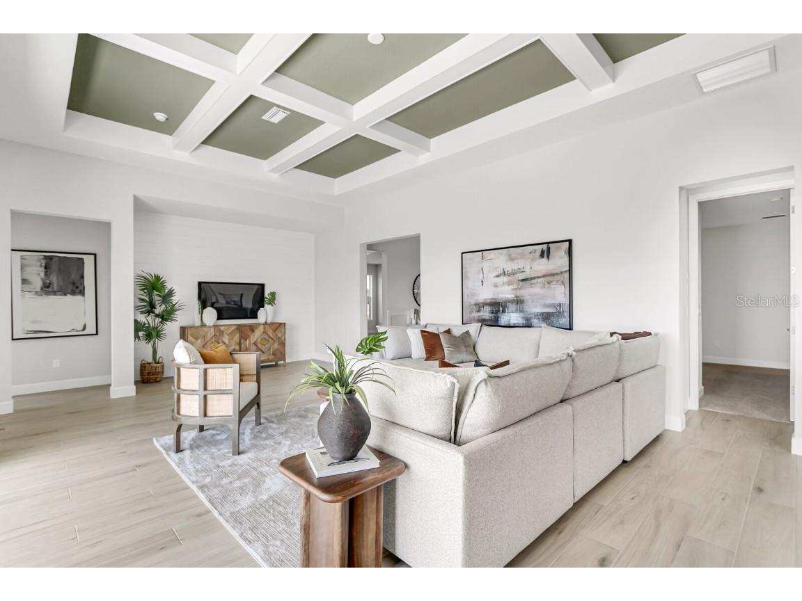 5214 Lake Venice Drive Wimauma FL 33598 TB8369364 image9