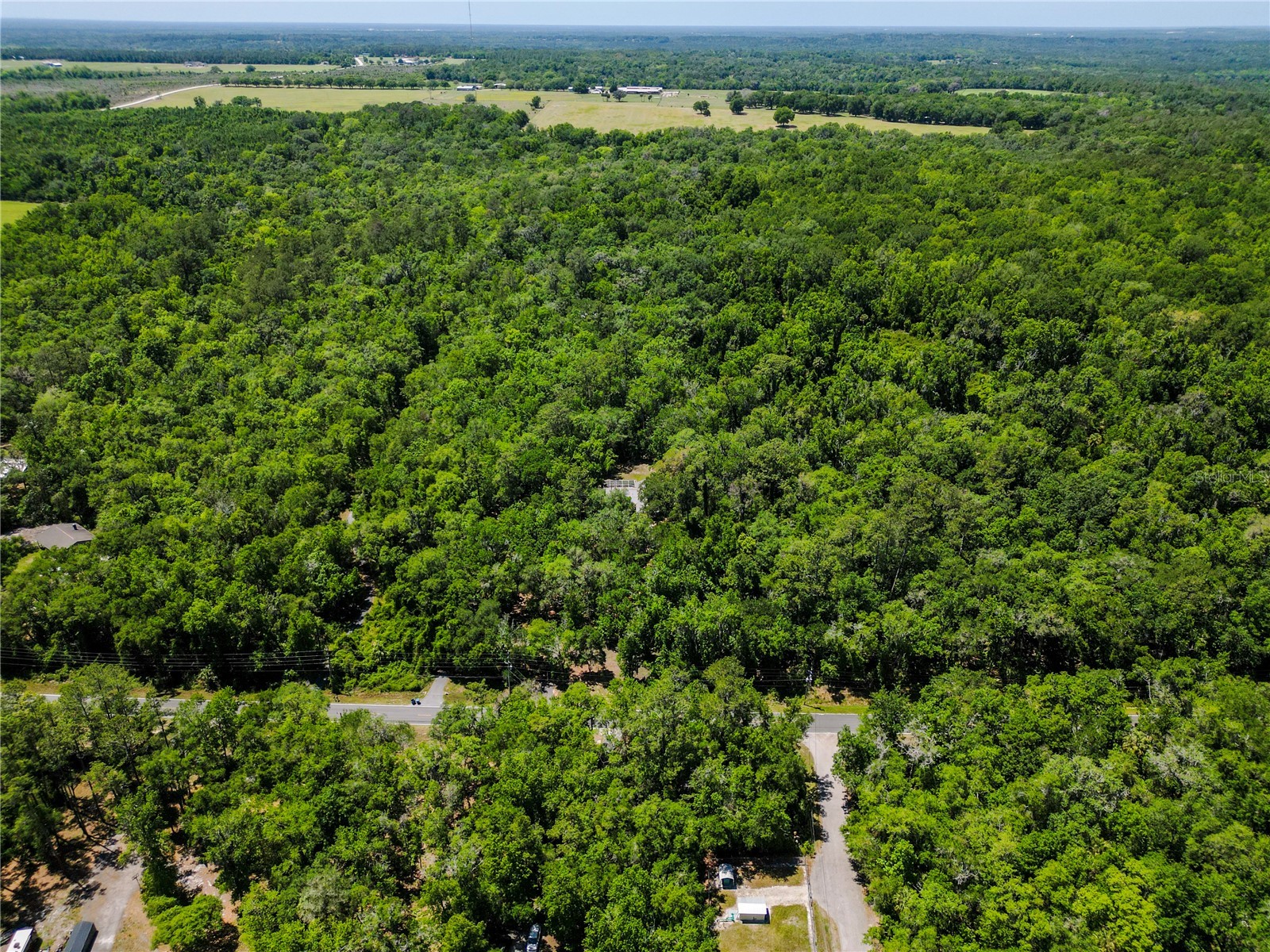 5215 Cedar Lane Brooksville FL 34601 TB8501625 image57