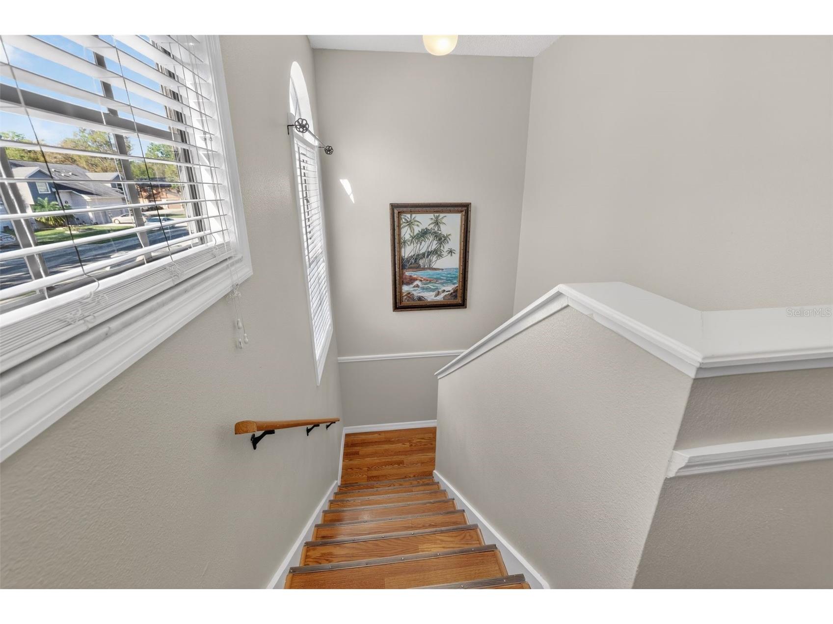 5215 Corvette Drive Tampa FL 33624 TB8486711 image16