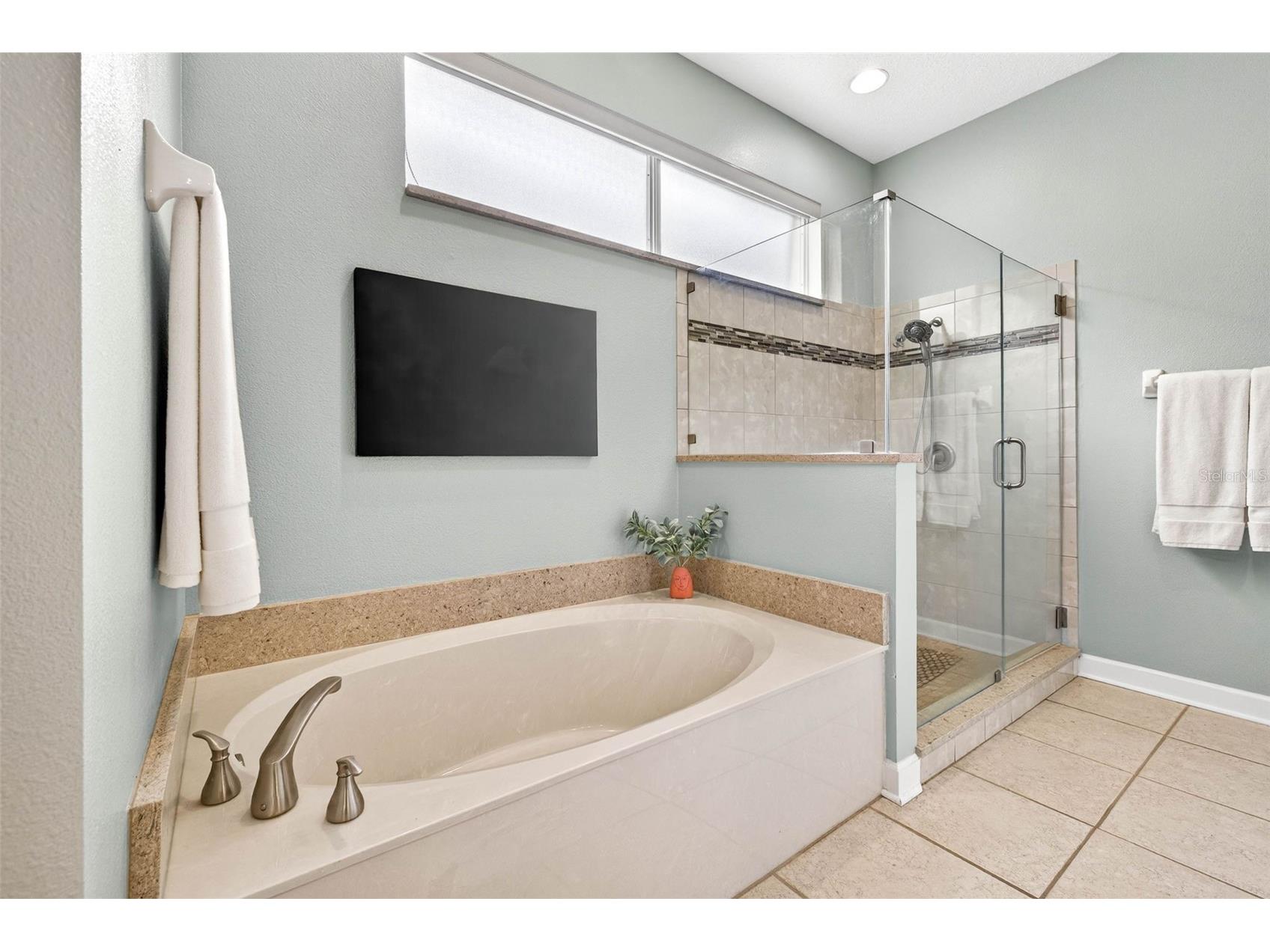 5215 Fairway One Drive Valrico FL 33596 TB8481837 image50