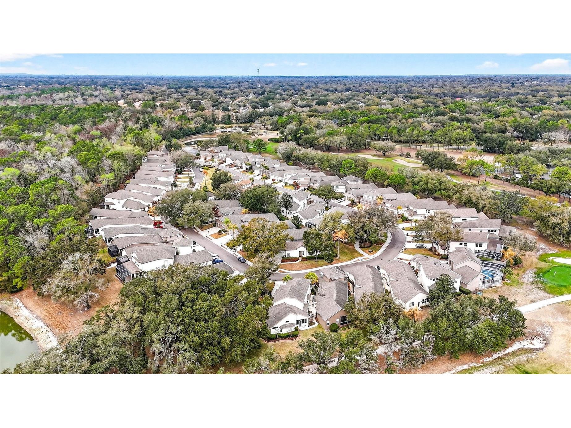 5215 Fairway One Drive Valrico FL 33596 TB8481837 image61