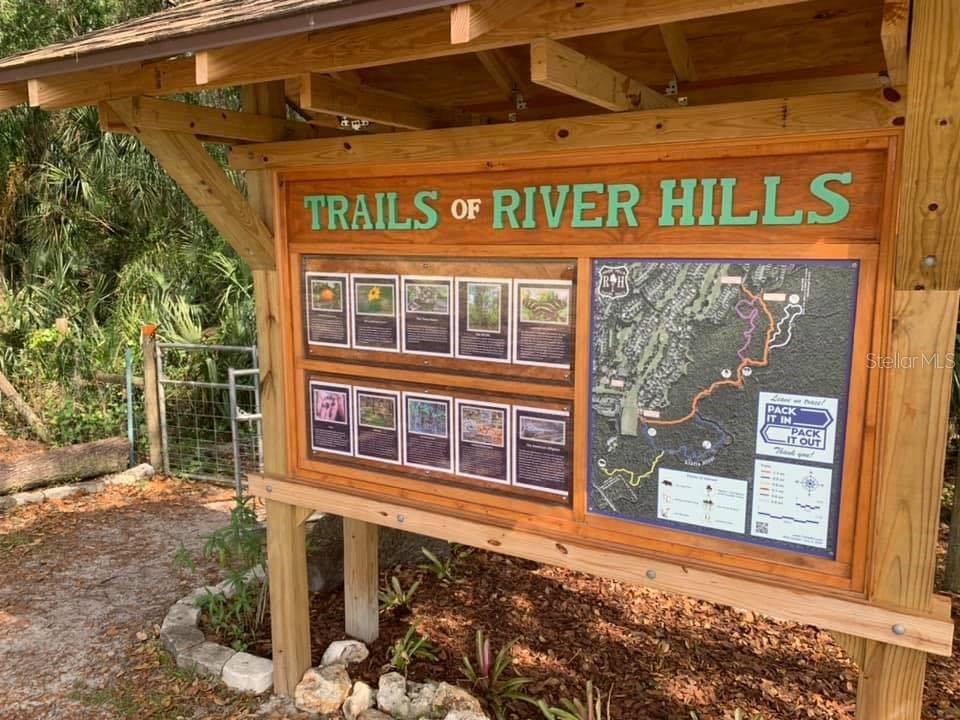 5215 Fairway One Drive Valrico FL 33596 TB8481837 image65