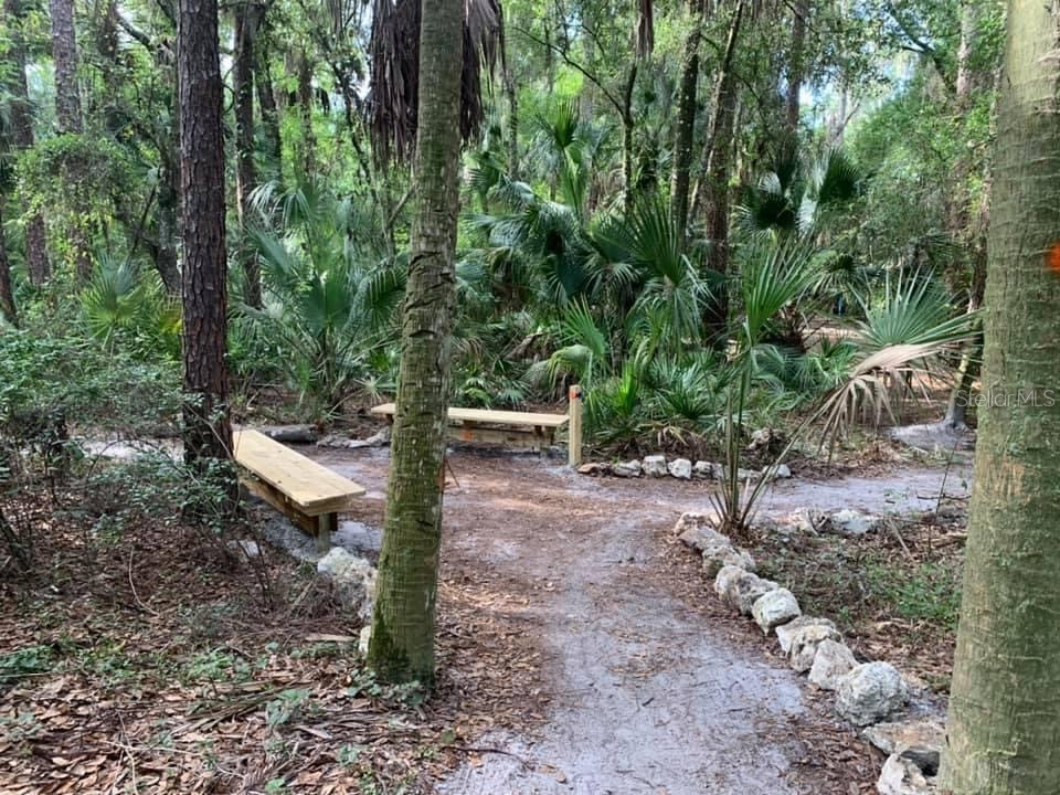 5215 Fairway One Drive Valrico FL 33596 TB8481837 image66