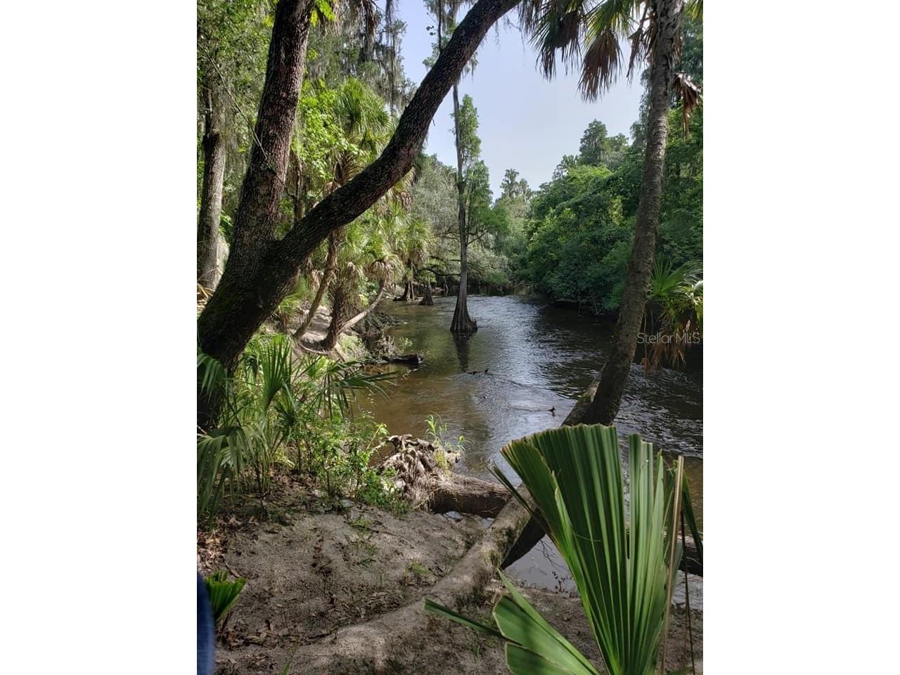 5215 Fairway One Drive Valrico FL 33596 TB8481837 image67