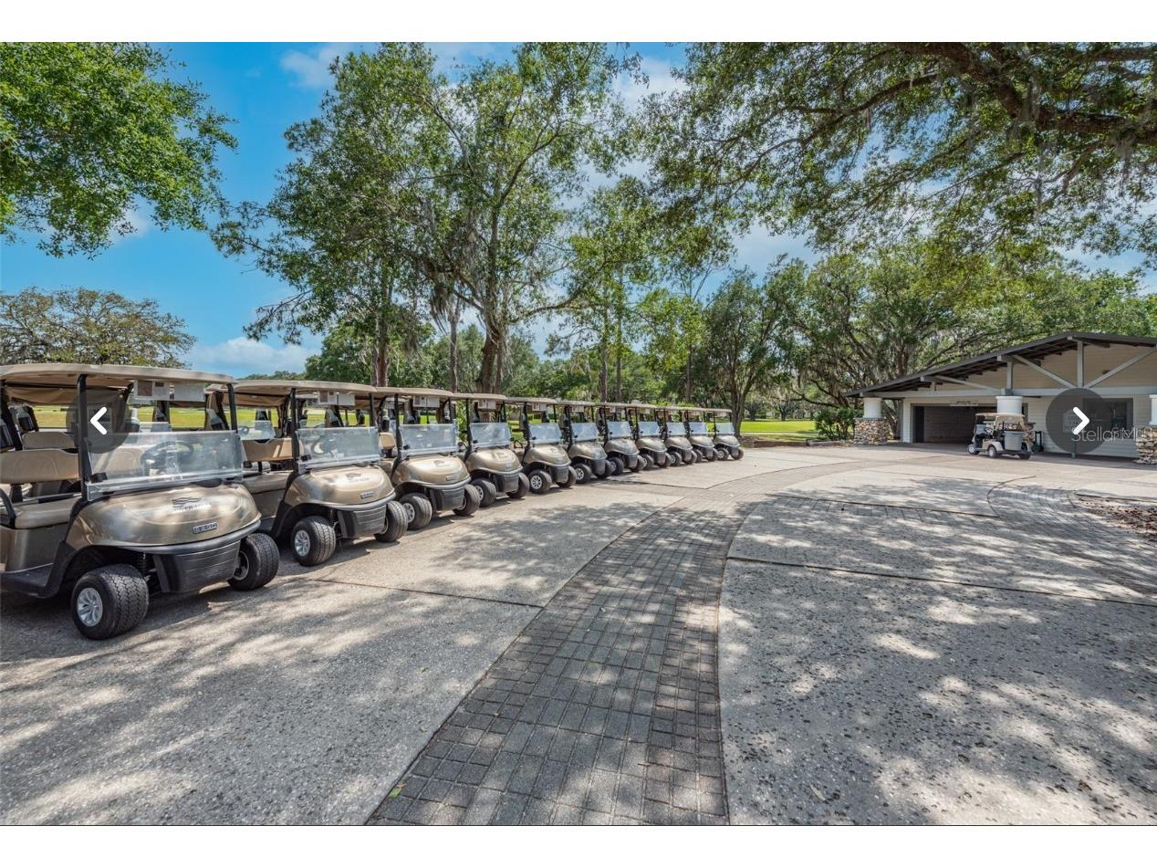 5215 Fairway One Drive Valrico FL 33596 TB8481837 image69