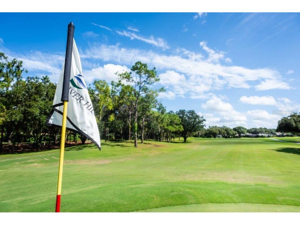 5215 Fairway One Drive Valrico FL 33596 TB8481837 image70