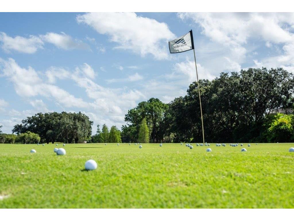 5215 Fairway One Drive Valrico FL 33596 TB8481837 image71