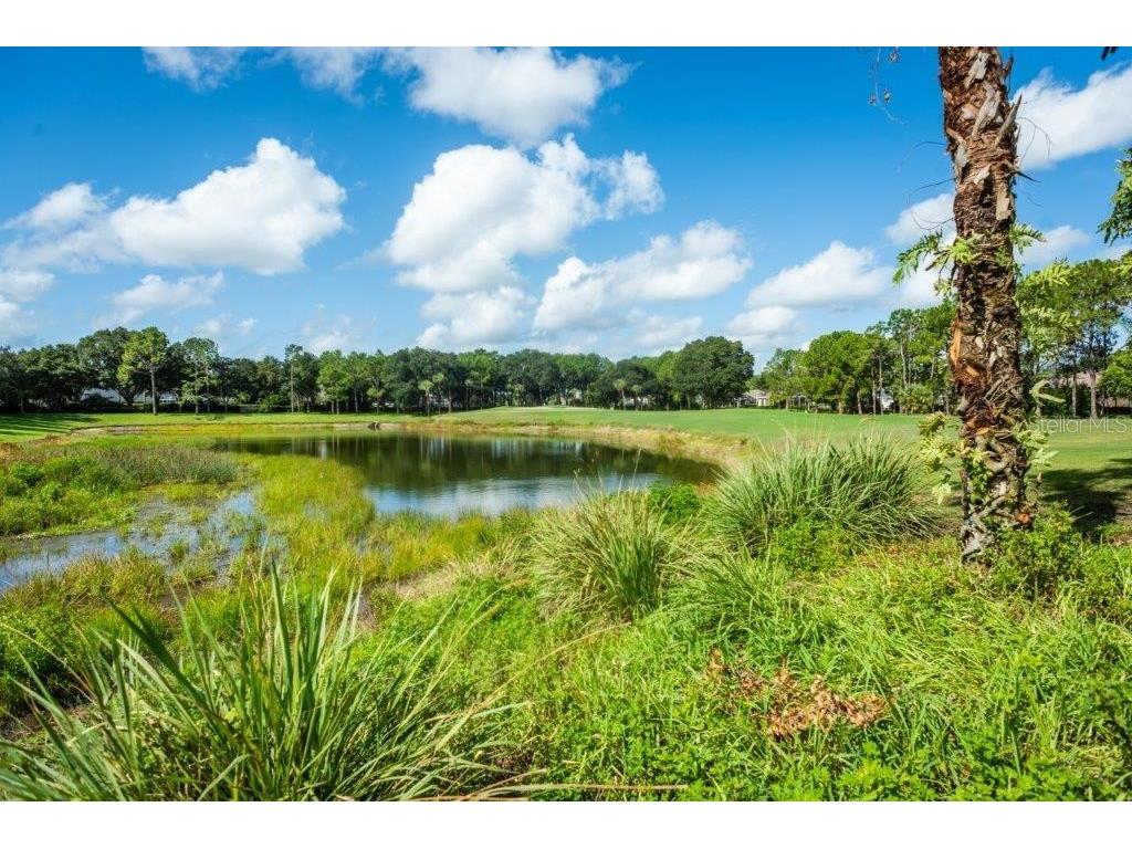 5215 Fairway One Drive Valrico FL 33596 TB8481837 image72