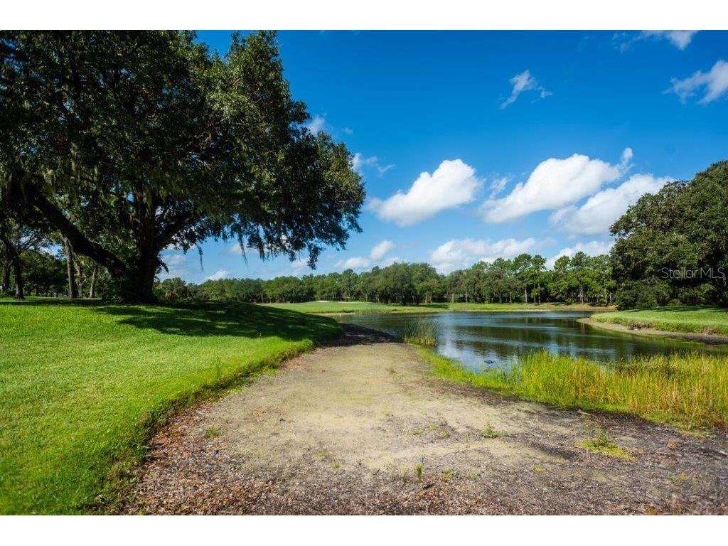 5215 Fairway One Drive Valrico FL 33596 TB8481837 image73