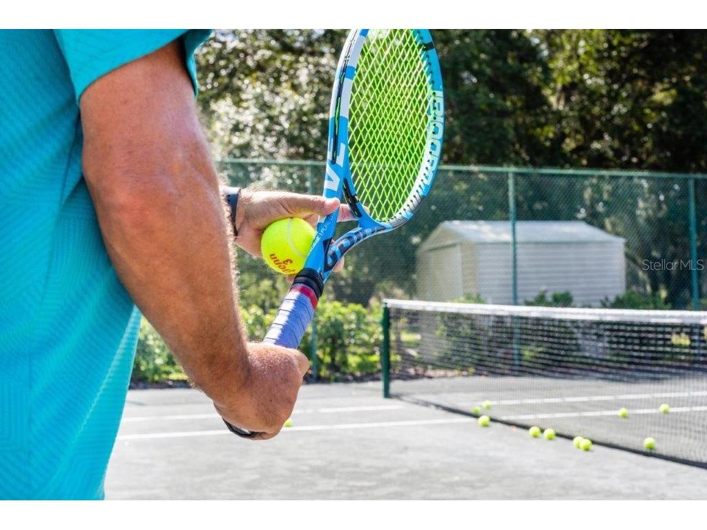 5215 Fairway One Drive Valrico FL 33596 TB8481837 image75