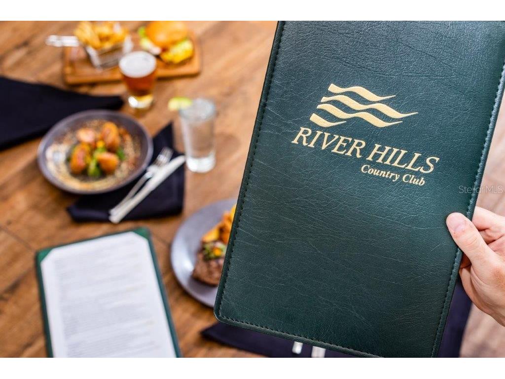 5215 Fairway One Drive Valrico FL 33596 TB8481837 image89