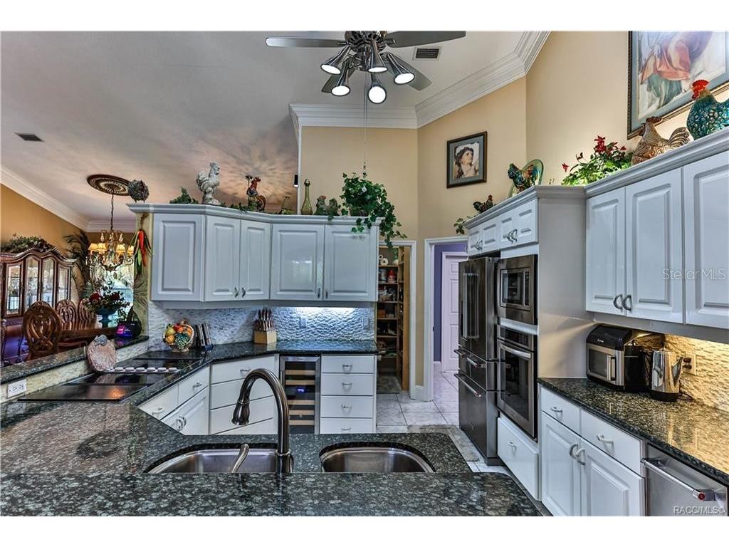 5215 N Honeycreek Terrace Crystal River FL 34428 OM724950 image13