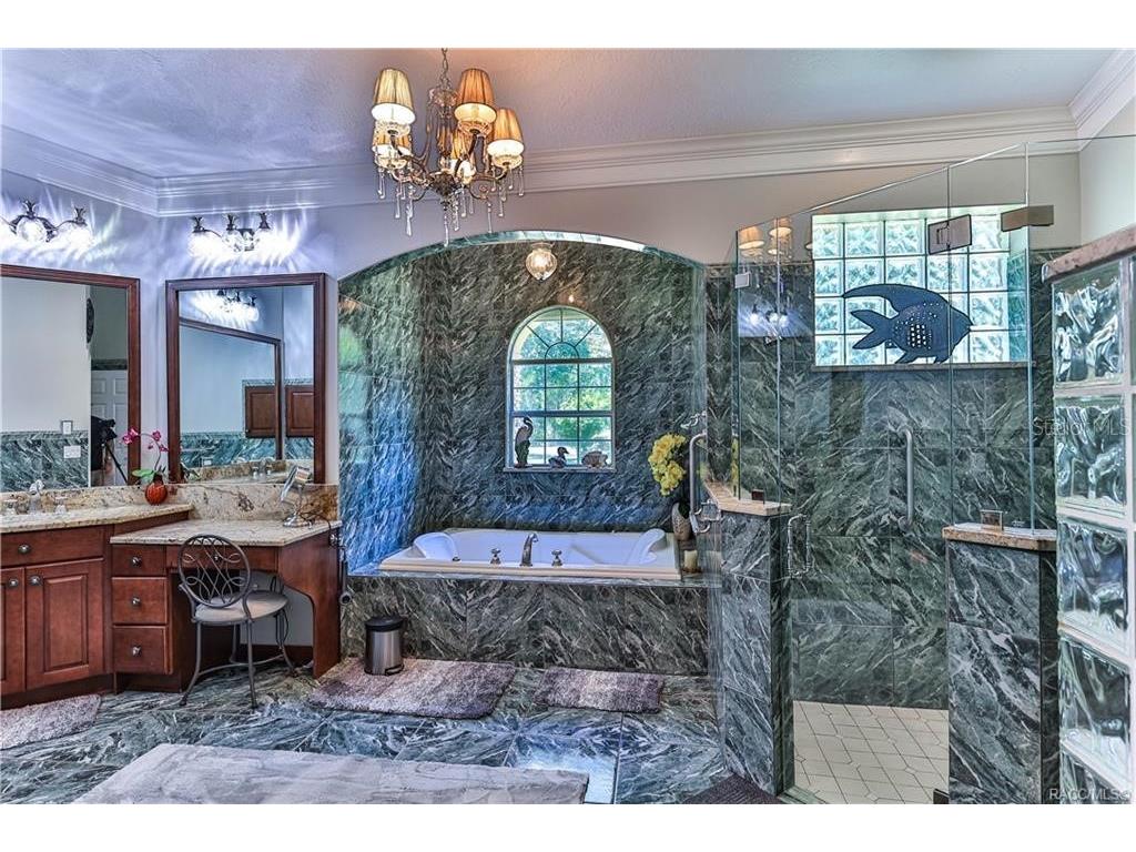 5215 N Honeycreek Terrace Crystal River FL 34428 OM724950 image22