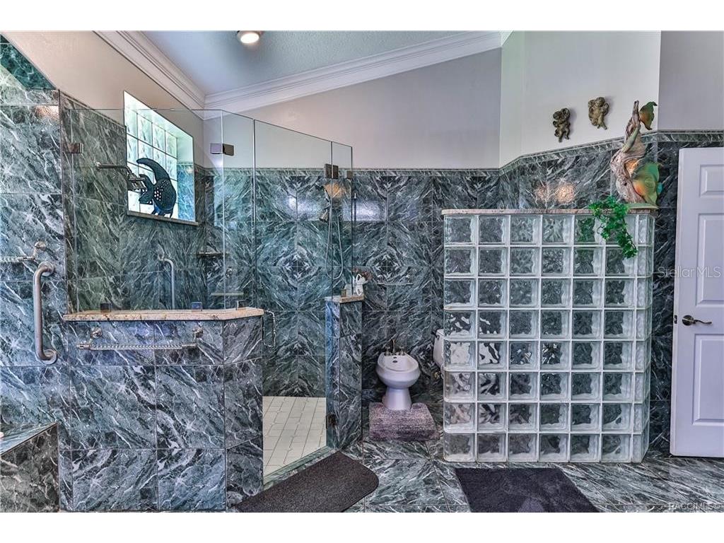 5215 N Honeycreek Terrace Crystal River FL 34428 OM724950 image26