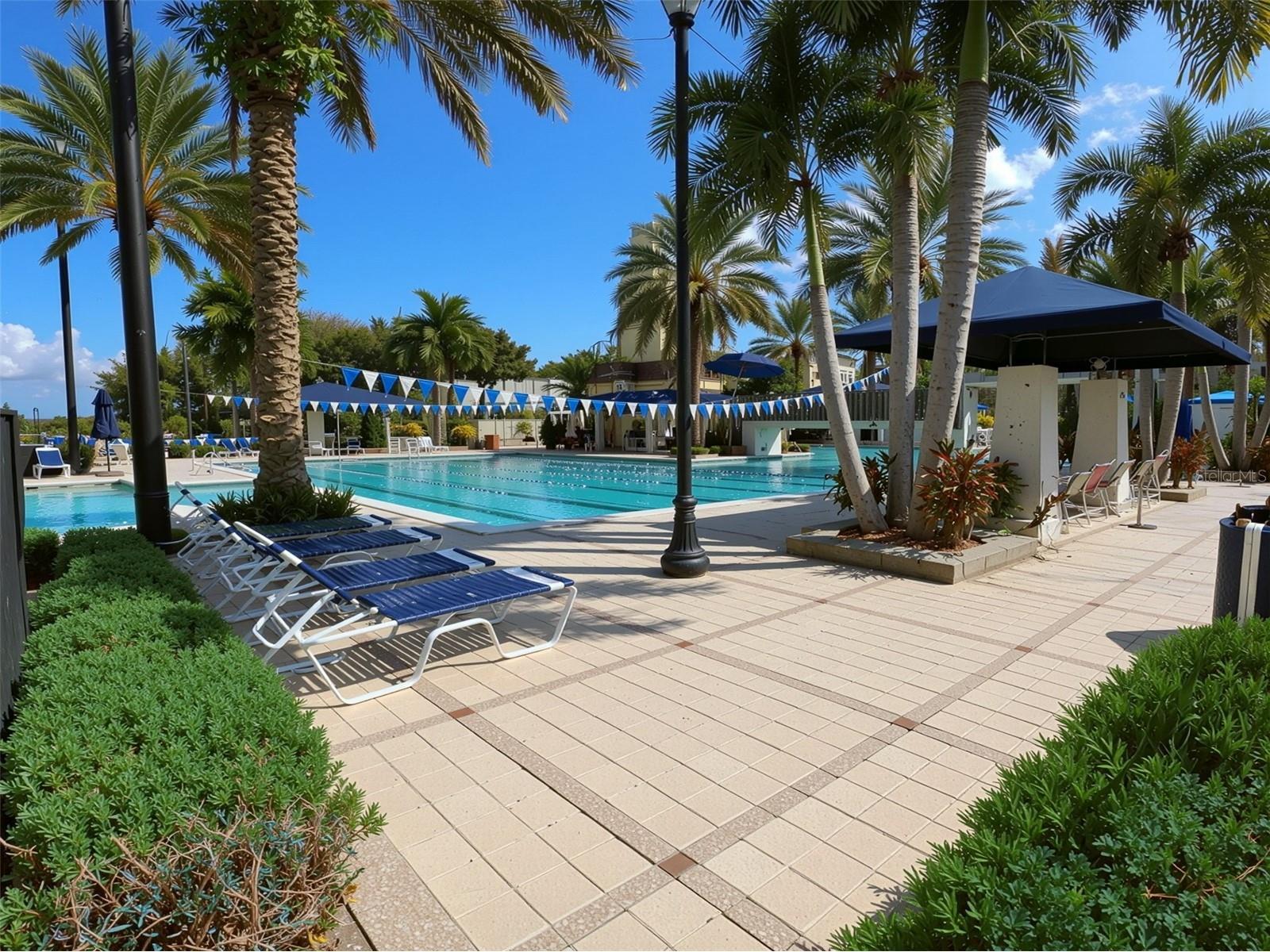 5215 Wishing Arch Drive Apollo Beach FL 33572 TB8477551 image56