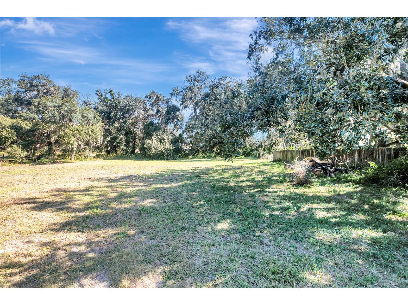 5216 Carol Drive Wesley Chapel FL 33543 TB8448334 image1