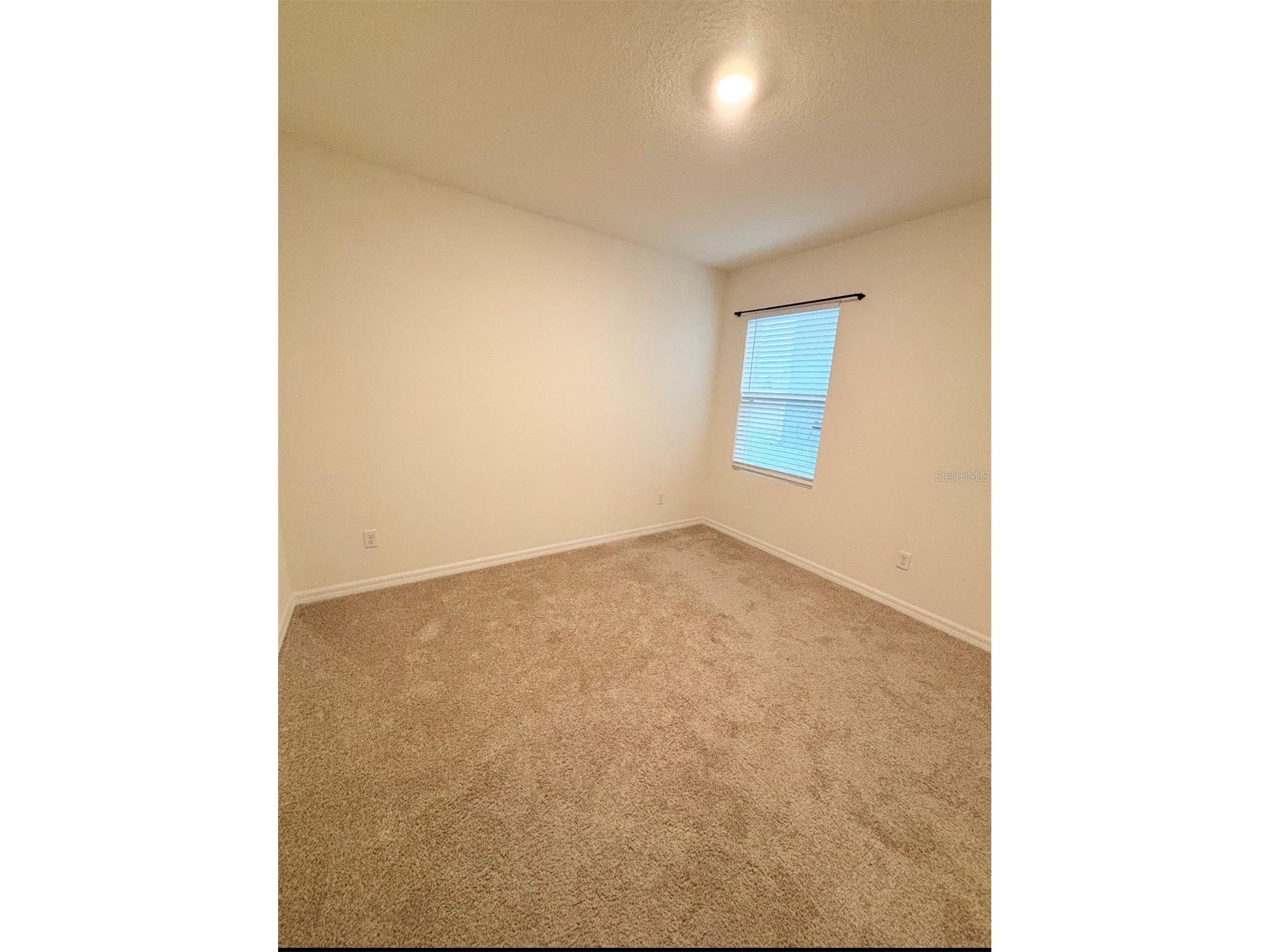 5216 Greenheart Avenue Mount Dora FL 32757 O6410612 image12