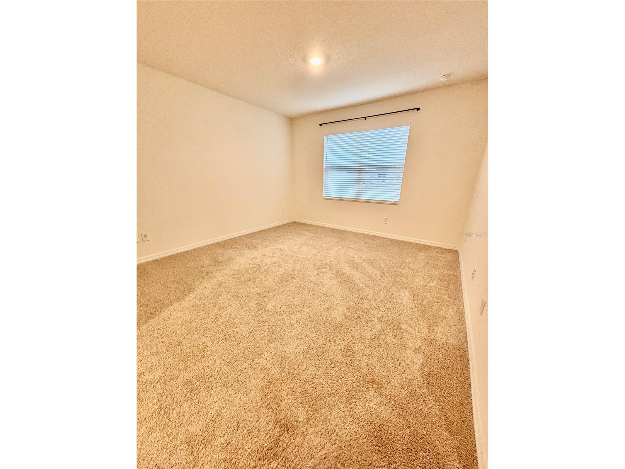 5216 Greenheart Avenue Mount Dora FL 32757 O6410612 image16
