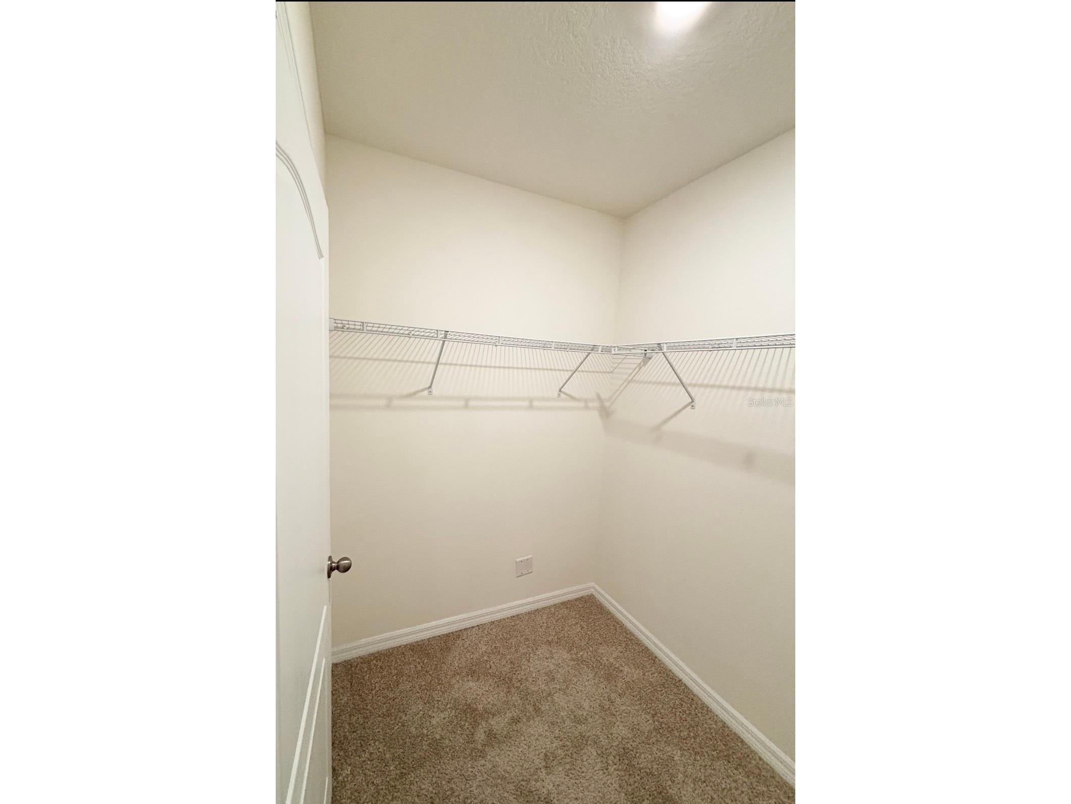 5216 Greenheart Avenue Mount Dora FL 32757 O6410612 image17