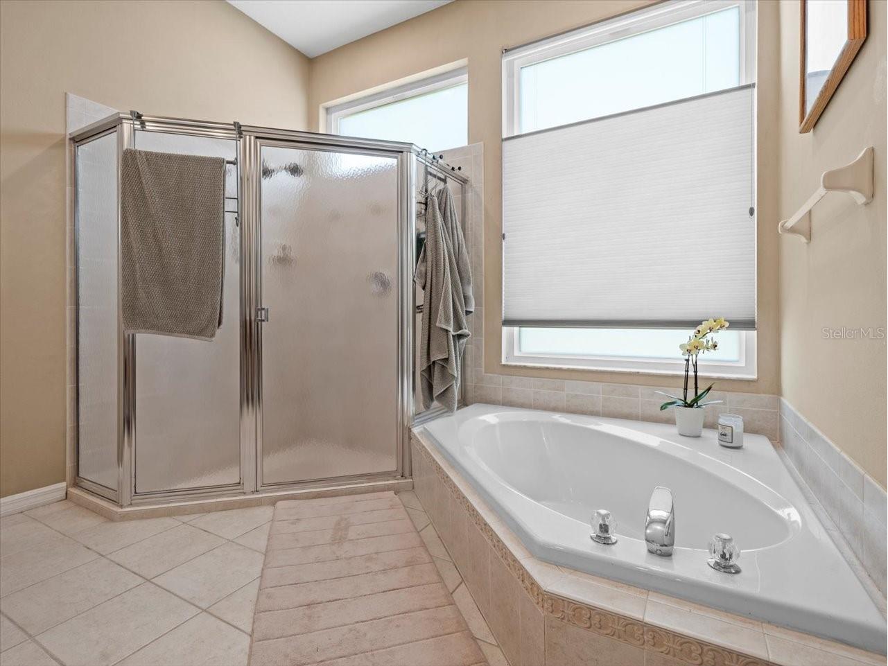 5216 Kernwood Court Palm Harbor FL 34685 TB8487296 image12