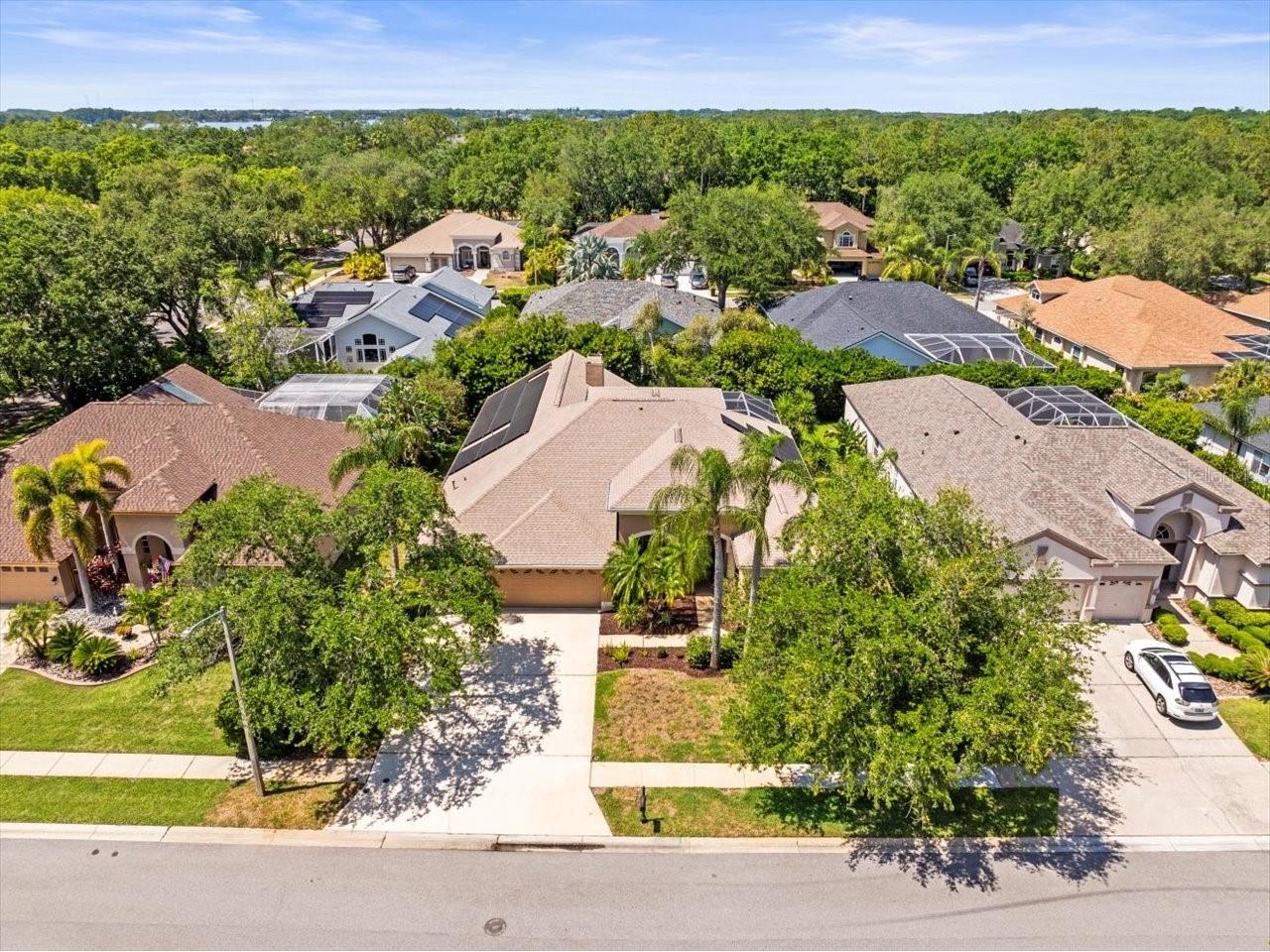 5216 Kernwood Court Palm Harbor FL 34685 TB8487296 image3