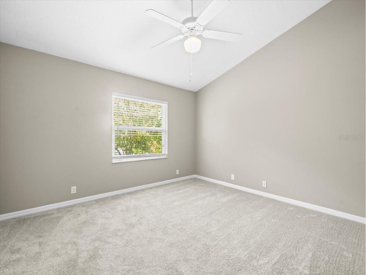 5216 Kernwood Court Palm Harbor FL 34685 TB8487296 image45