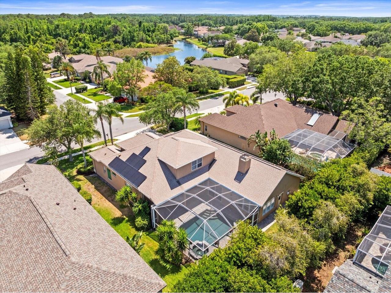 5216 Kernwood Court Palm Harbor FL 34685 TB8487296 image62