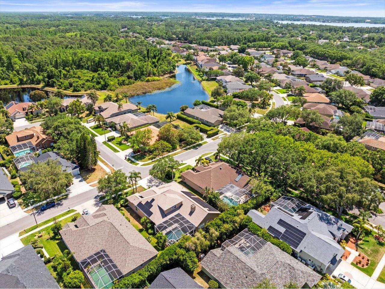 5216 Kernwood Court Palm Harbor FL 34685 TB8487296 image64