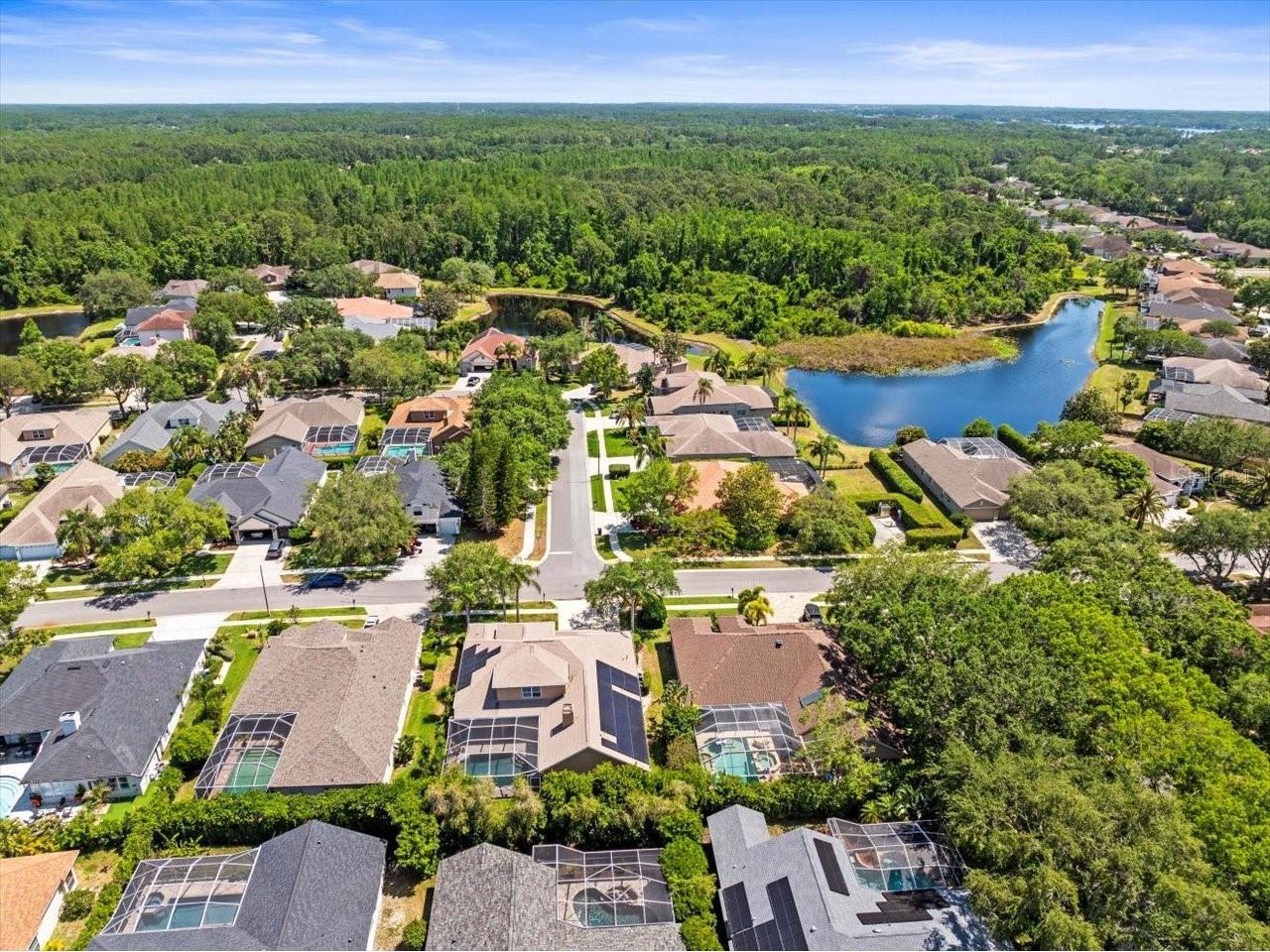 5216 Kernwood Court Palm Harbor FL 34685 TB8487296 image65