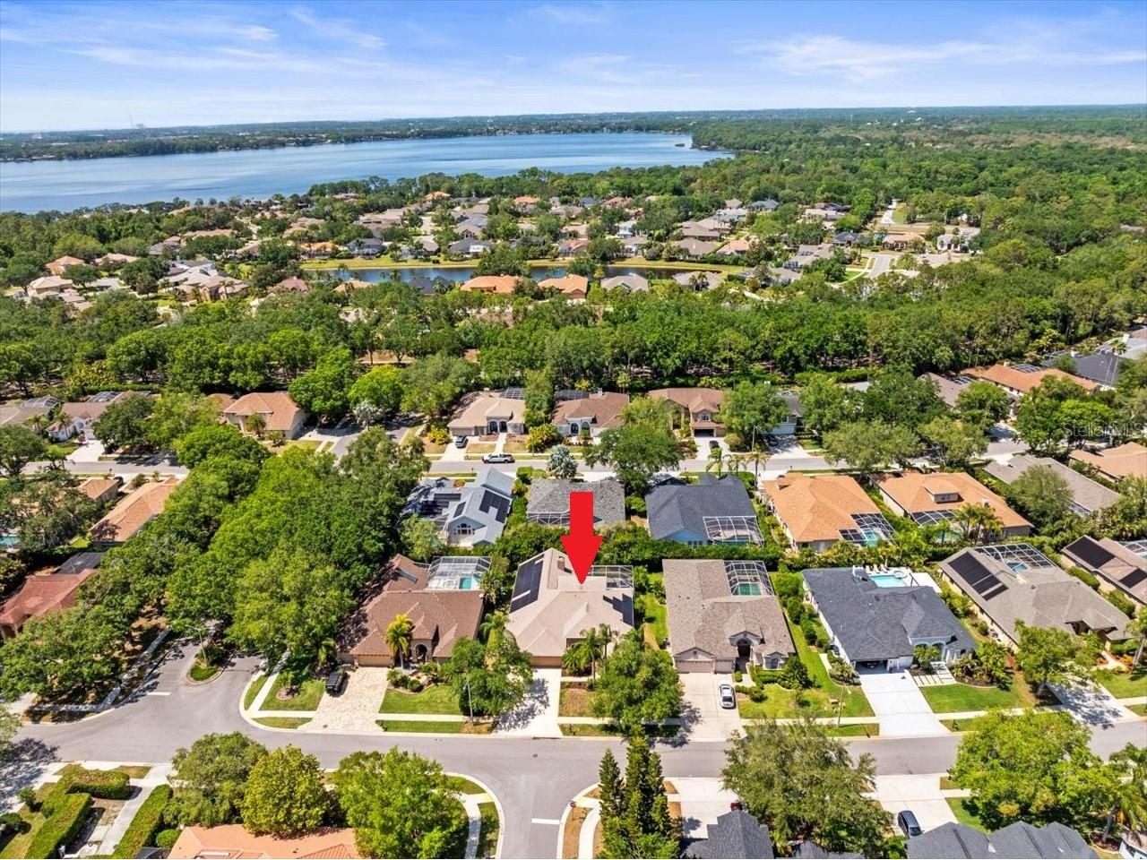 5216 Kernwood Court Palm Harbor FL 34685 TB8487296 image66