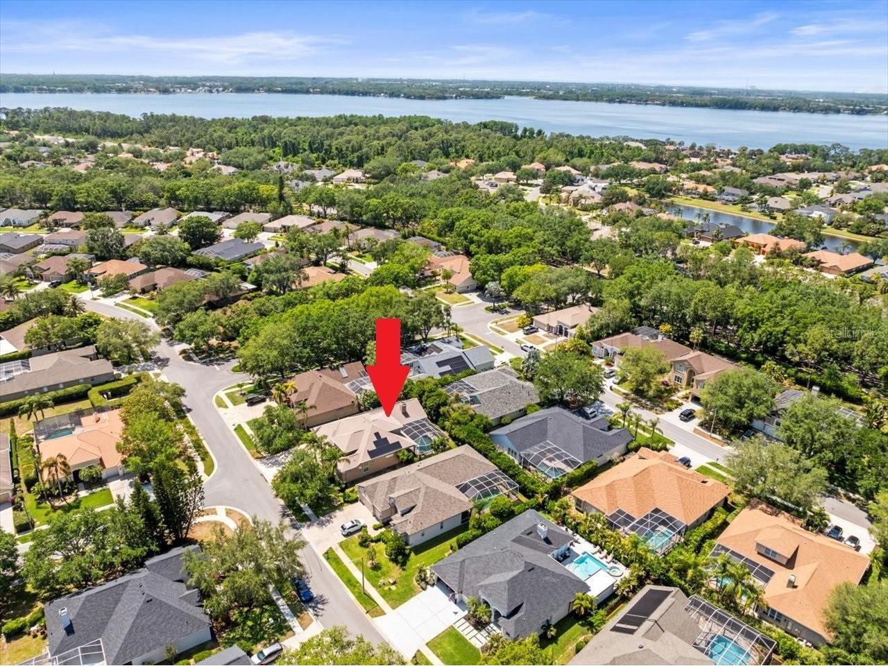 5216 Kernwood Court Palm Harbor FL 34685 TB8487296 image67