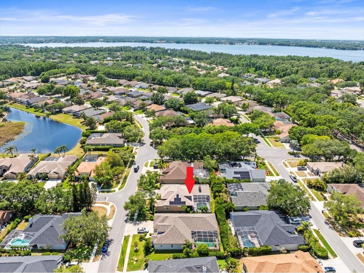 5216 Kernwood Court Palm Harbor FL 34685 TB8487296 image68