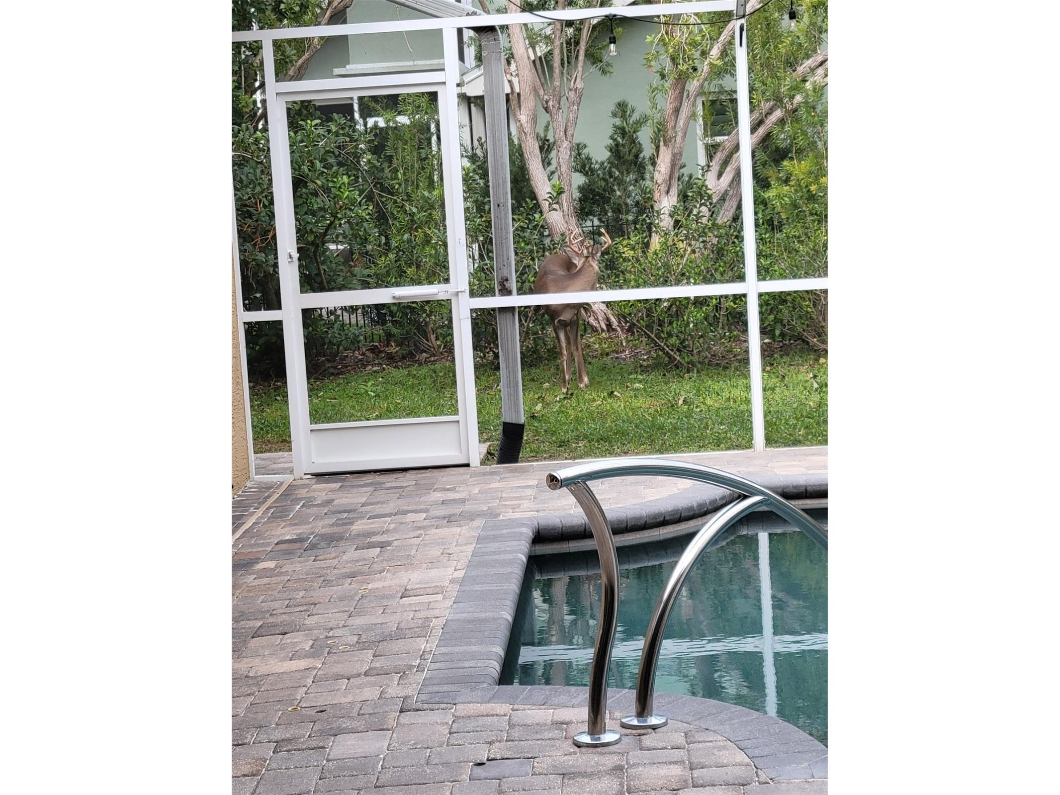 5216 Kernwood Court Palm Harbor FL 34685 TB8487296 image73