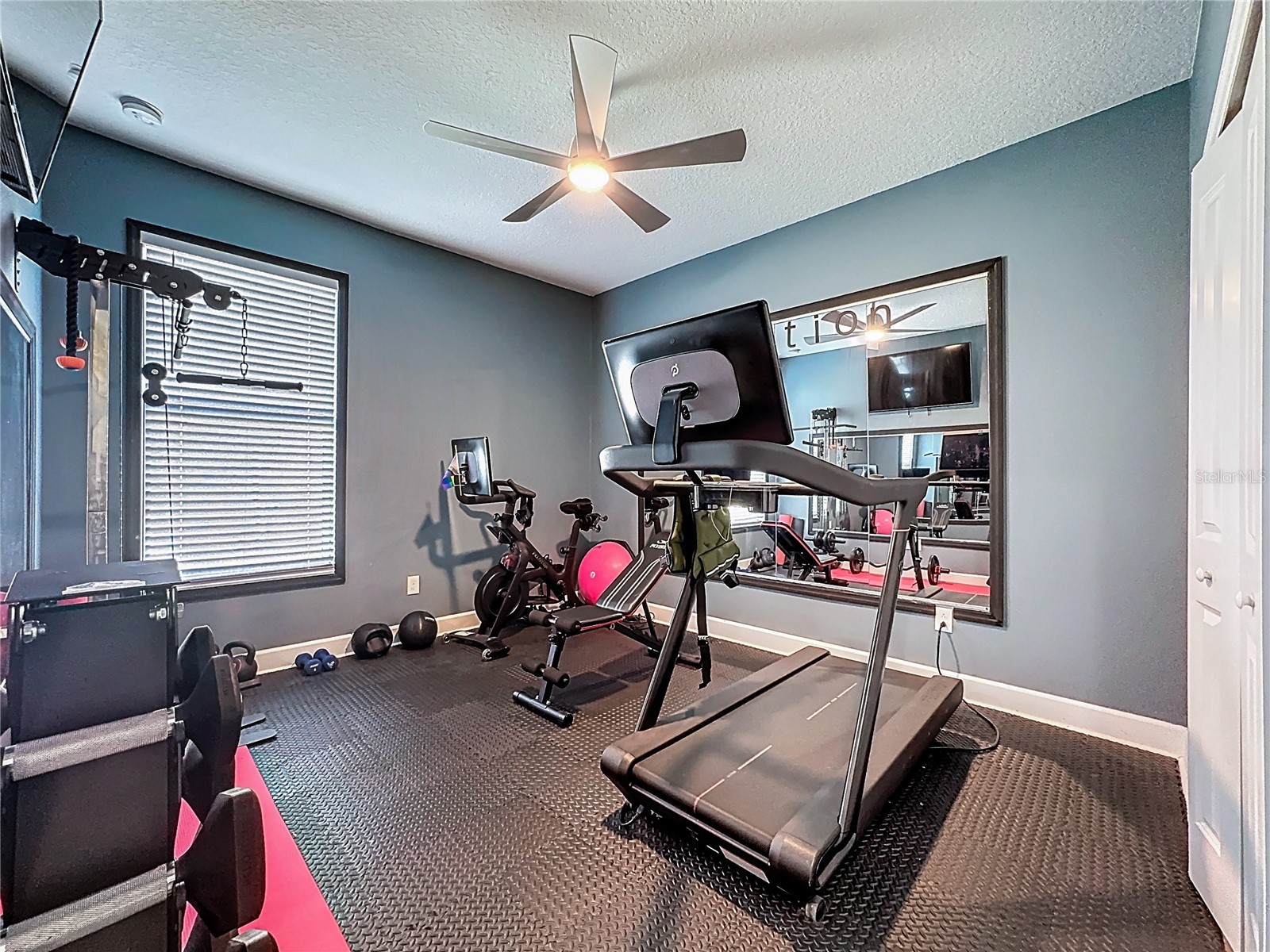 5216 Lake Venice Drive Wimauma FL 33598 TB8483599 image47